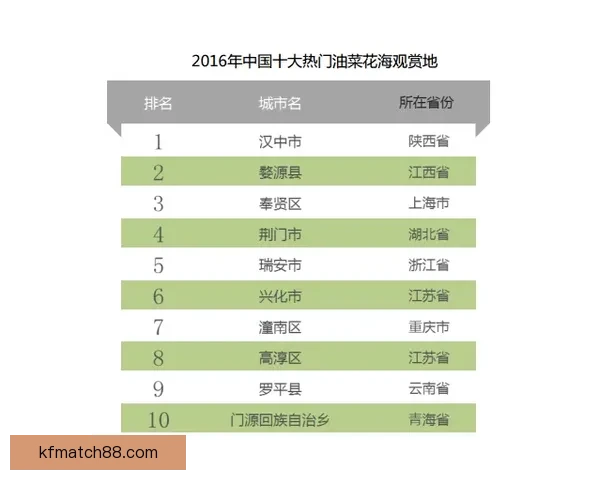 足球竞猜投注技巧解析与赛事数据思路全面提升投注技巧指南实战篇